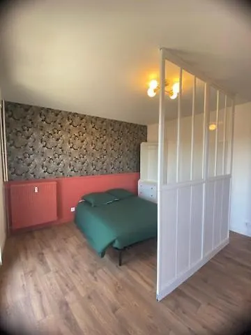 Pont Montaudran Apartamento *