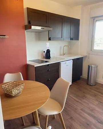 Pont Montaudran טולוז